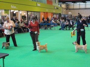 So the sign says relax, I am, see my tail's wagging